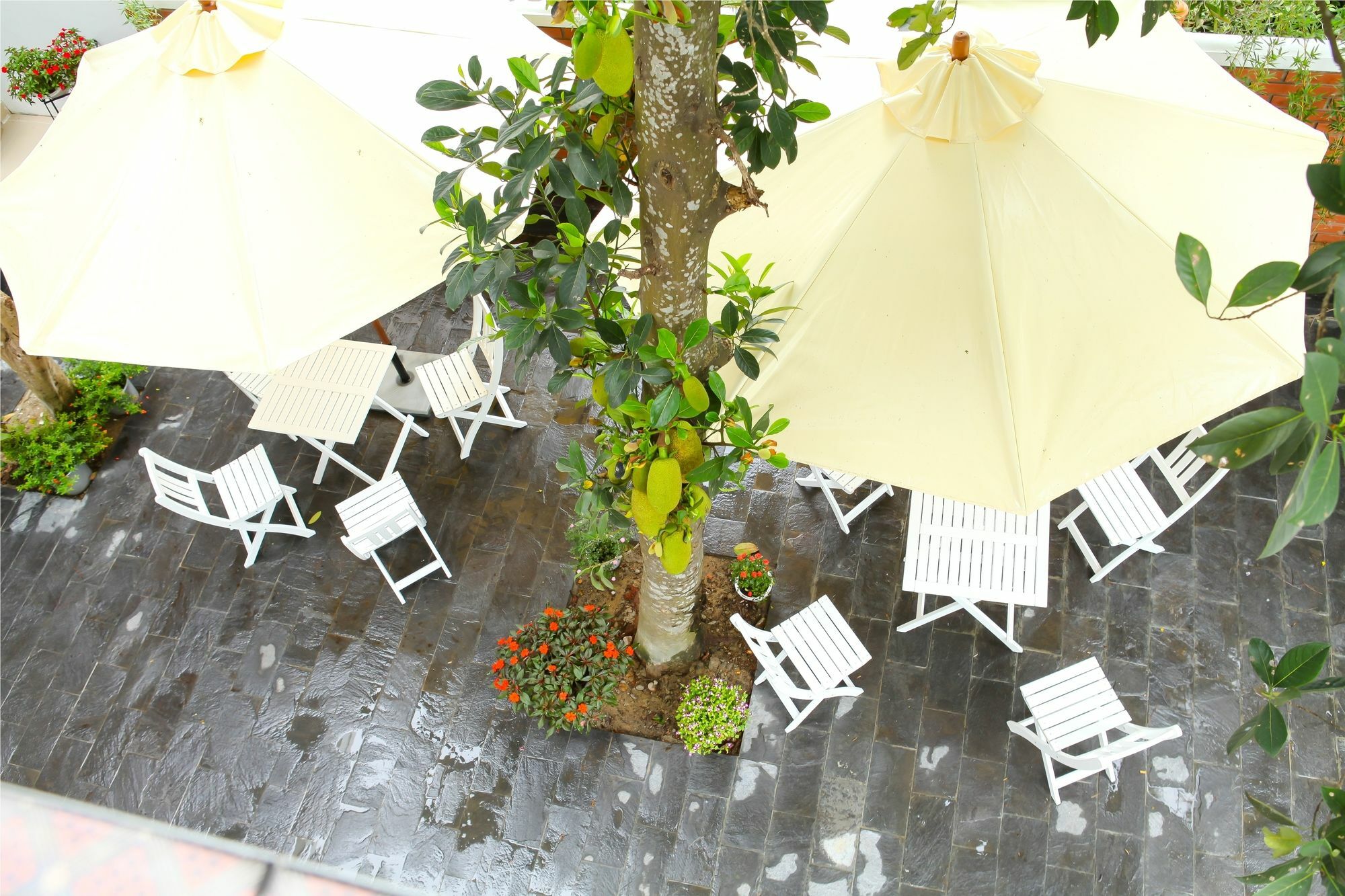 Blue Lake Homestay Hoi An Esterno foto